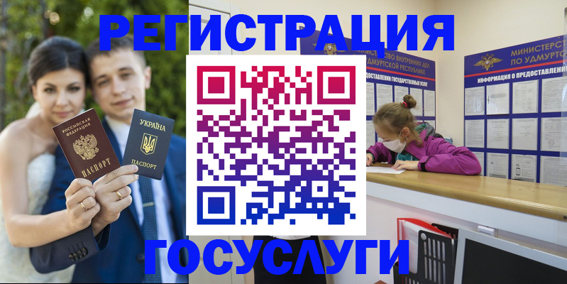 прописка поиск в Белгороде